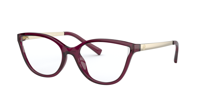 Michael Kors Belize Eyeglasses MK4071U 3509