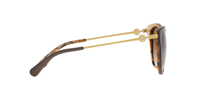 Michael Kors Abela Iii Sunglasses MK6040 321213