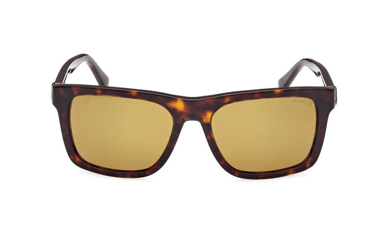 Moncler Colada Sunglasses ML0285 52H
