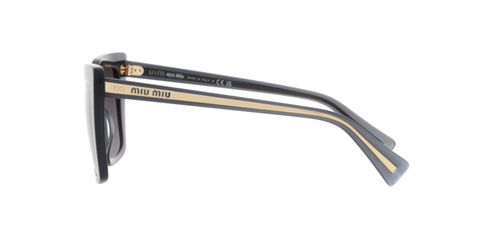 Miu Miu Sunglasses MU 02WS 06U5D1