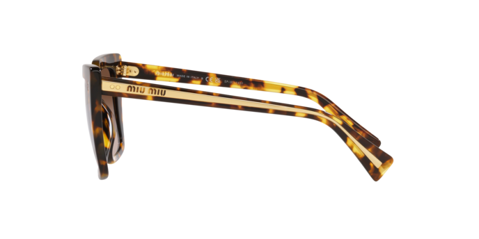 Miu Miu Sunglasses MU 02WS VAU6S1