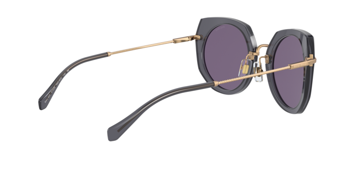 Miu Miu Core Collection Sunglasses MU 02XS 04O6O2