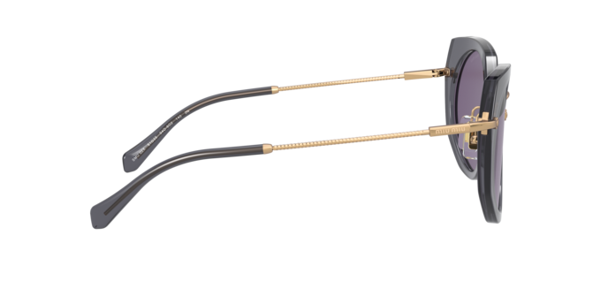 Miu Miu Core Collection Sunglasses MU 02XS 04O6O2