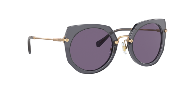 Miu Miu Core Collection Sunglasses MU 02XS 04O6O2