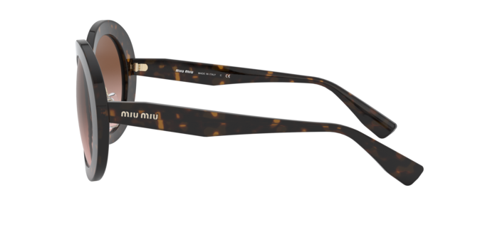 Miu Miu Core Collection Sunglasses MU 04VS 2AU0A6