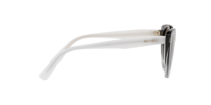 Miu Miu Sunglasses MU 04XS 1140A7