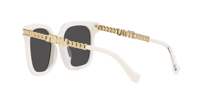 Miu Miu Sunglasses MU 13WS 1425S0