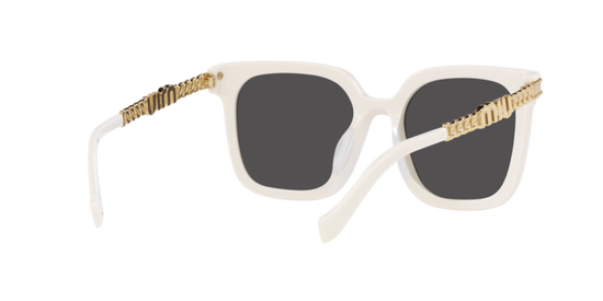 Miu Miu Sunglasses MU 13WS 1425S0