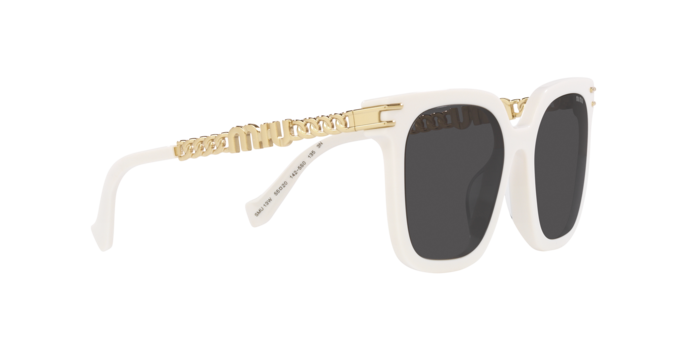 Miu Miu Sunglasses MU 13WS 1425S0