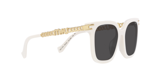 Miu Miu Sunglasses MU 13WS 1425S0