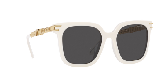 Miu Miu Sunglasses MU 13WS 1425S0