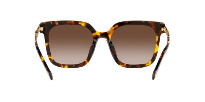 Miu Miu Sunglasses MU 13WS VAU6S1