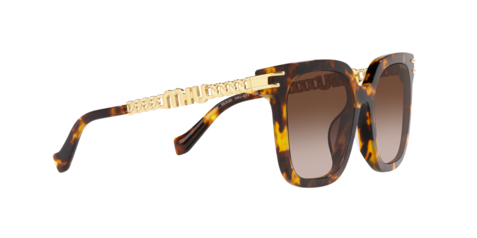 Miu Miu Sunglasses MU 13WS VAU6S1