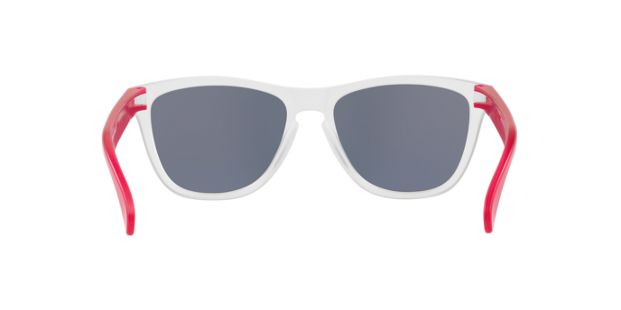 Oakley Sunglasses Frogskins OO9013B3