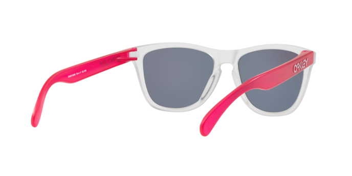 Oakley Sunglasses Frogskins OO9013B3