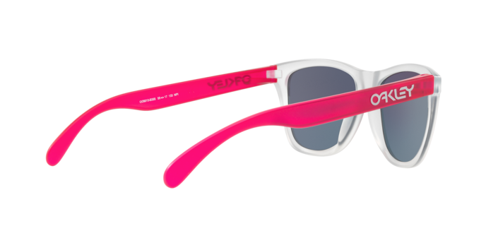 Oakley Sunglasses Frogskins OO9013B3