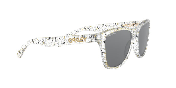Oakley Sunglasses Frogskins OO9013G6
