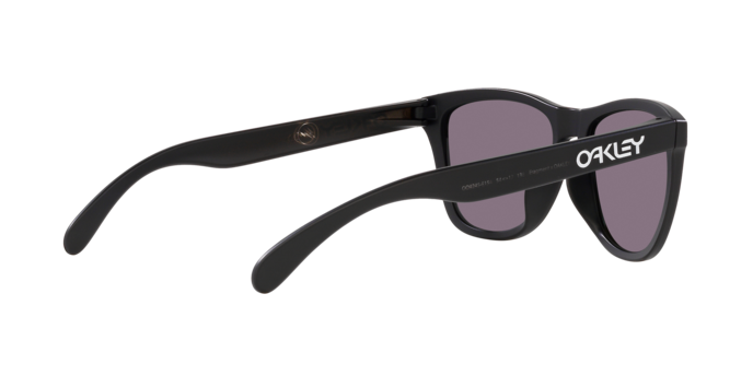 Oakley Sunglasses Frogskins (A) OO9245E1