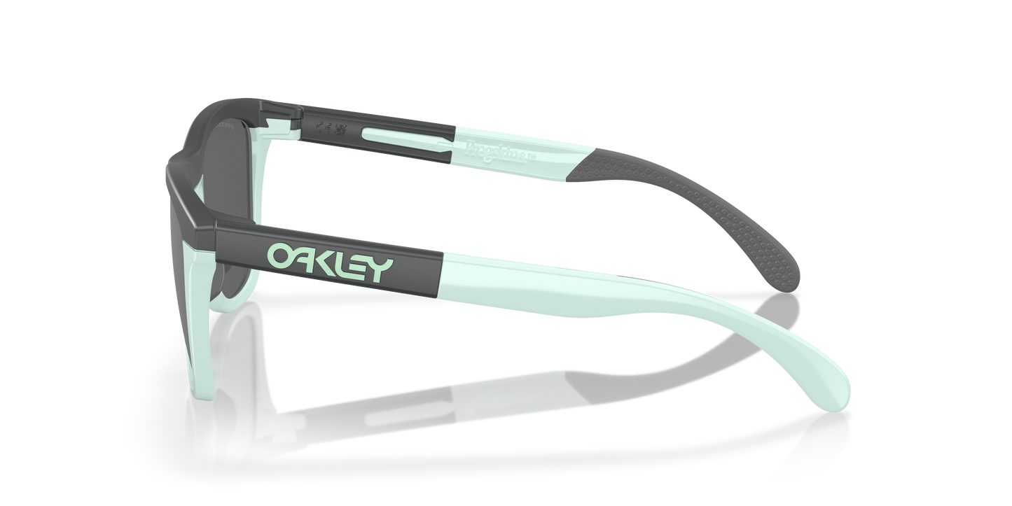 Oakley Sunglasses Frogskins Range OO928403
