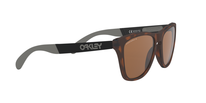 Oakley Sunglasses Frogskins Mix OO942808