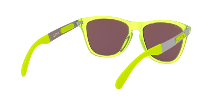 Oakley Sunglasses Frogskins Mix OO942815