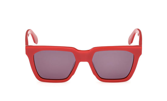 Adidas Originals Sunglasses OR0110 66A