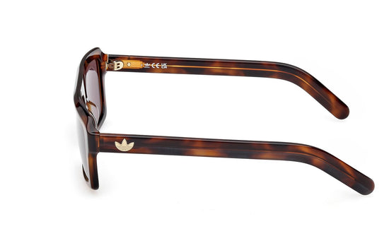 Adidas Originals Sunglasses OR0133 52E