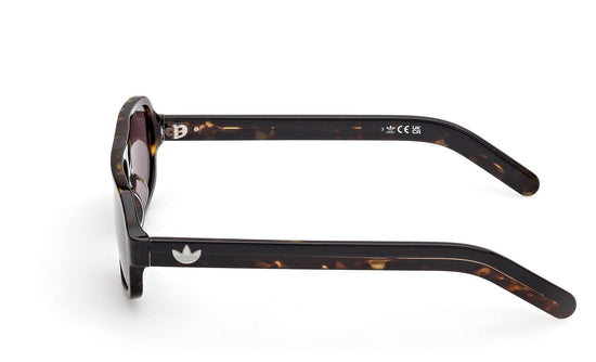 Adidas Originals Sunglasses OR0134 52E