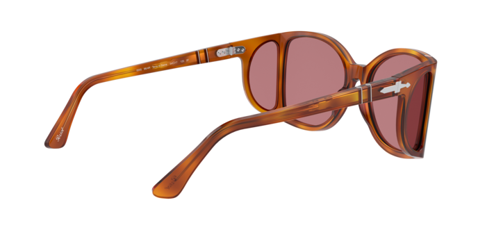 Persol Sunglasses PO0005 96/4R
