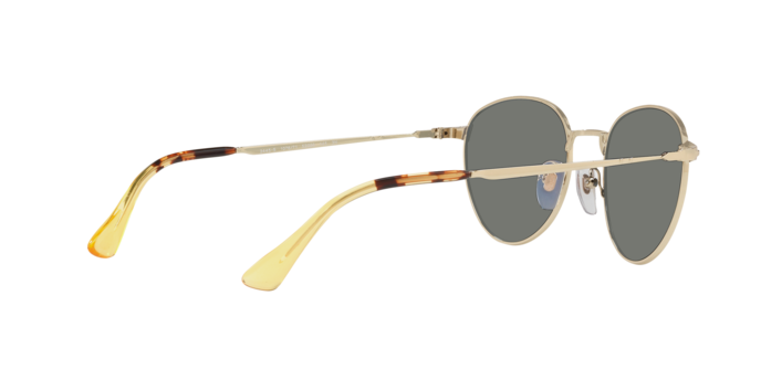 Persol Sunglasses PO2445S 107671