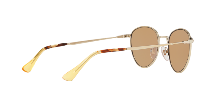 Persol Sunglasses PO2445S 108453