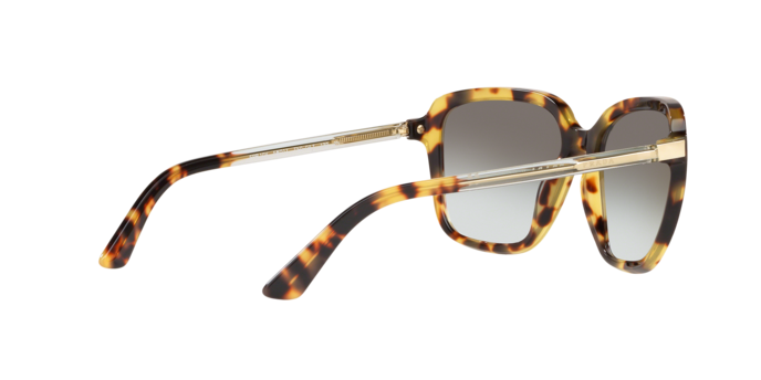 Prada Heritage Sunglasses PR 10VS 7S00A7