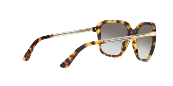 Prada Heritage Sunglasses PR 10VS 7S00A7