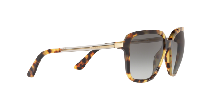 Prada Heritage Sunglasses PR 10VS 7S00A7