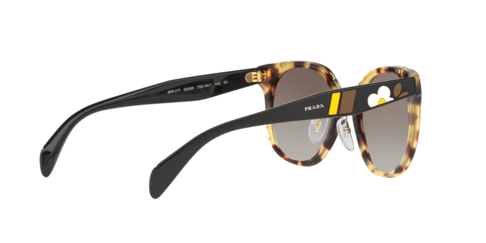 Prada Catwalk Sunglasses PR 17TS 7S00A7