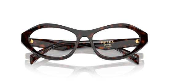 Prada Eyeglasses PR A21V 17N1O1