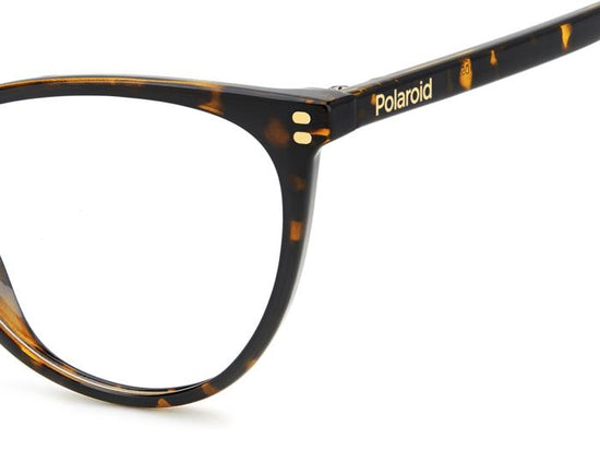 Polaroid Eyeglasses PLDD551 086