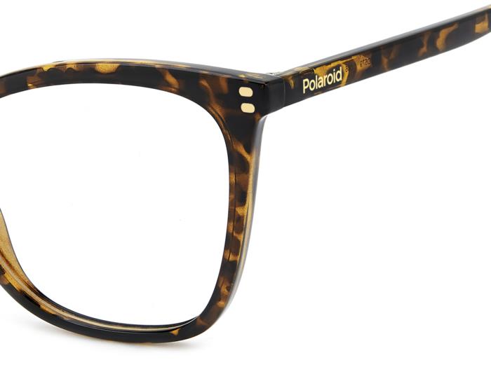 Polaroid Eyeglasses PLDD579 086