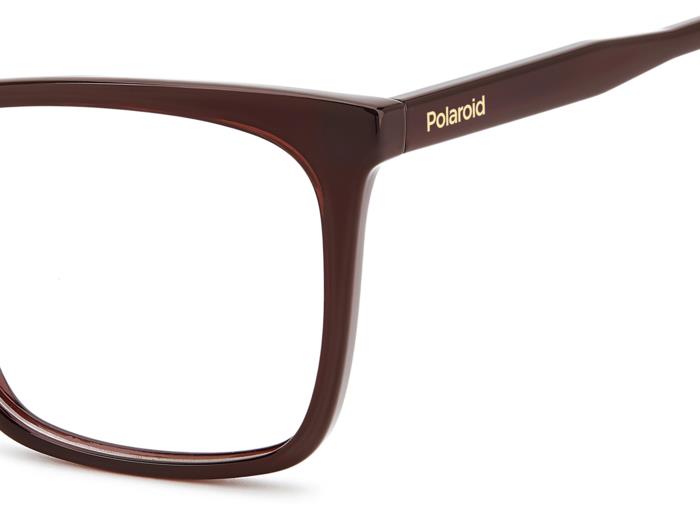 Polaroid Eyeglasses PLDD588 C9A