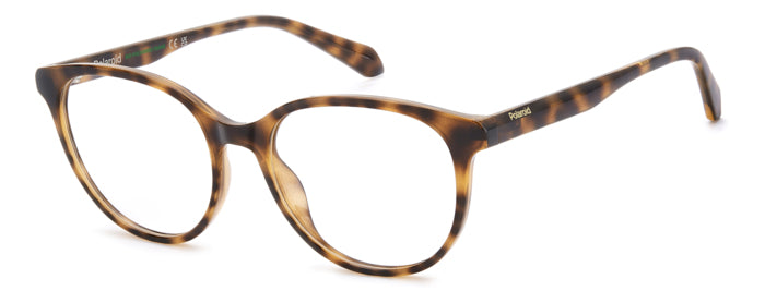 Polaroid Eyeglasses PLDD624 086