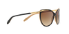 Ralph Ra 5150 Sunglasses RA5150 109013