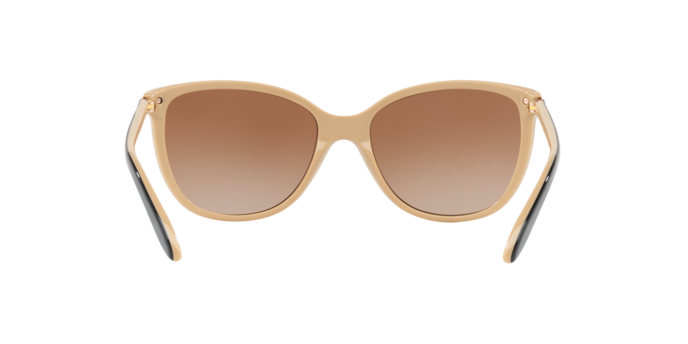 Ralph Ra5160 Sunglasses RA5160 109013