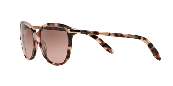 Ralph Ra5160 Sunglasses RA5160 111614