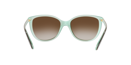 Ralph Ra5160 Sunglasses RA5160 601/13