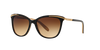 Ralph Sunglasses RA5203 109013