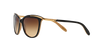 Ralph Sunglasses RA5203 109013