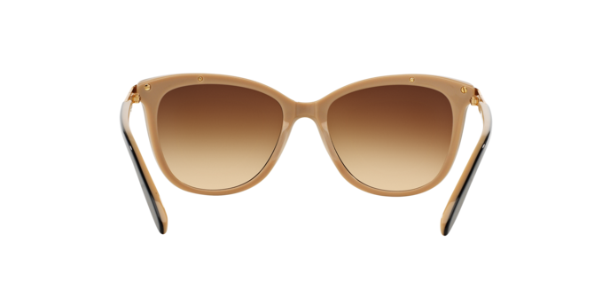 Ralph Sunglasses RA5203 109013