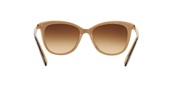 Ralph Sunglasses RA5203 109013