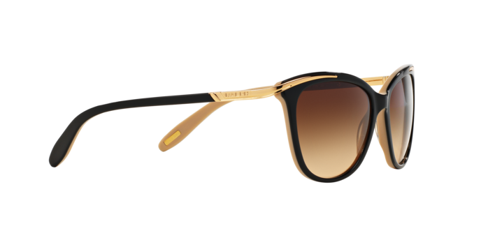 Ralph Sunglasses RA5203 109013