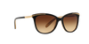 Ralph Sunglasses RA5203 109013